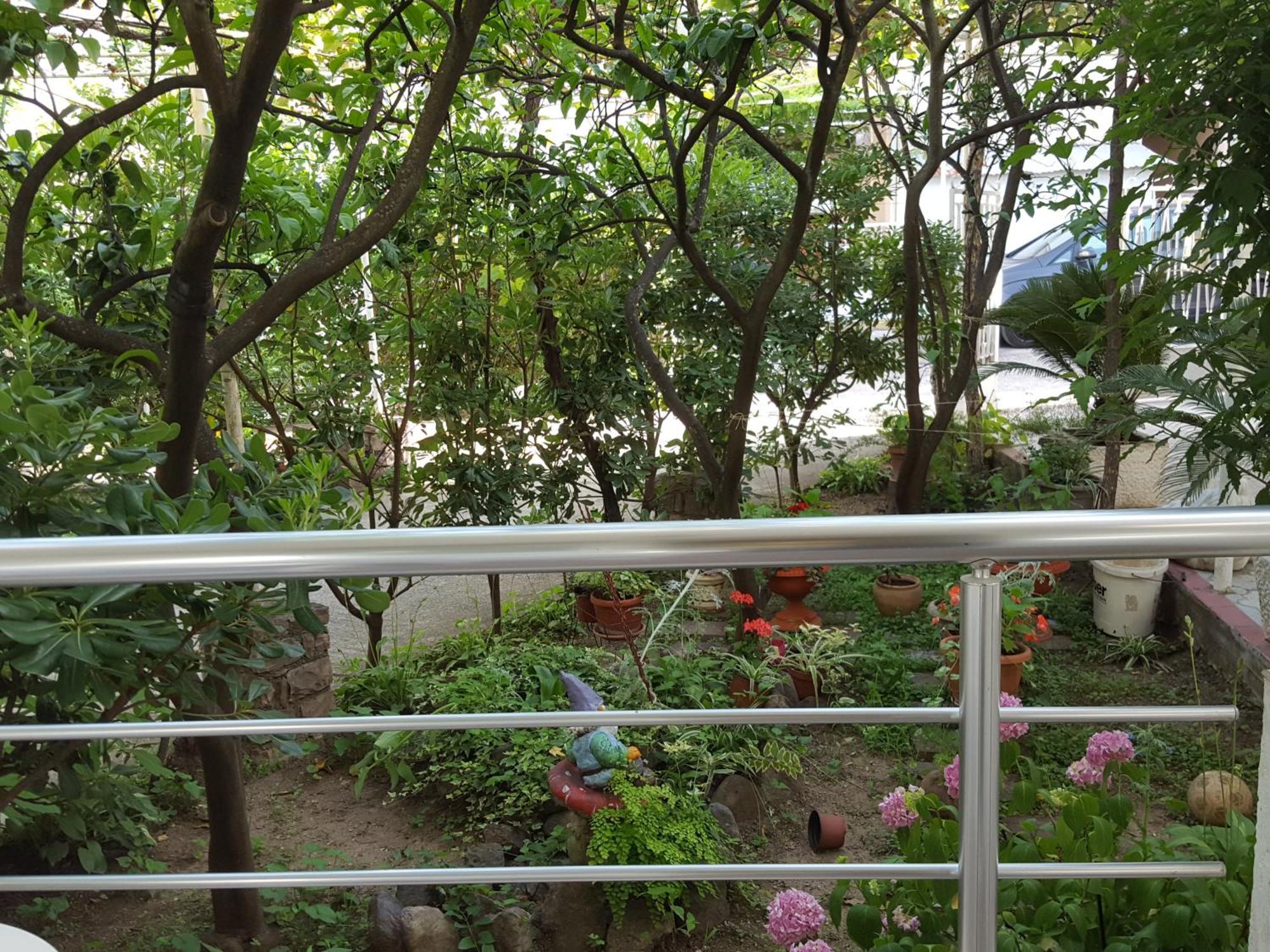 Apartmani Bonik Budva Bagian luar foto
